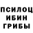 Псилоцибиновые грибы Cubensis itzPolya