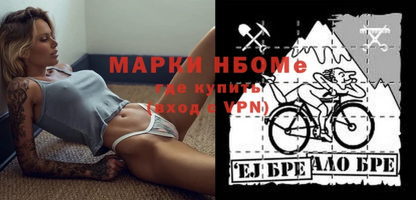 шишки Алексеевка