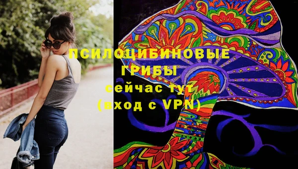 героин Алексин